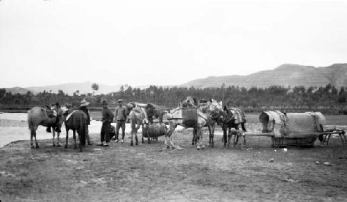 People and horses at edge of river