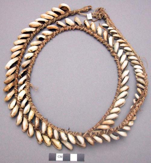 Guri shell bracelet