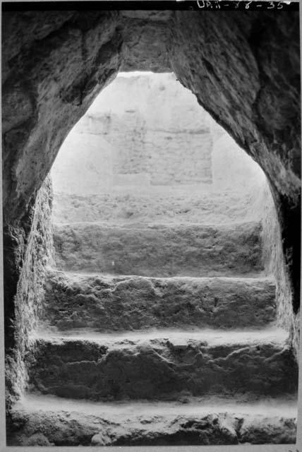 A-V: stairway leading up out of Burial Chamber of Burial 29