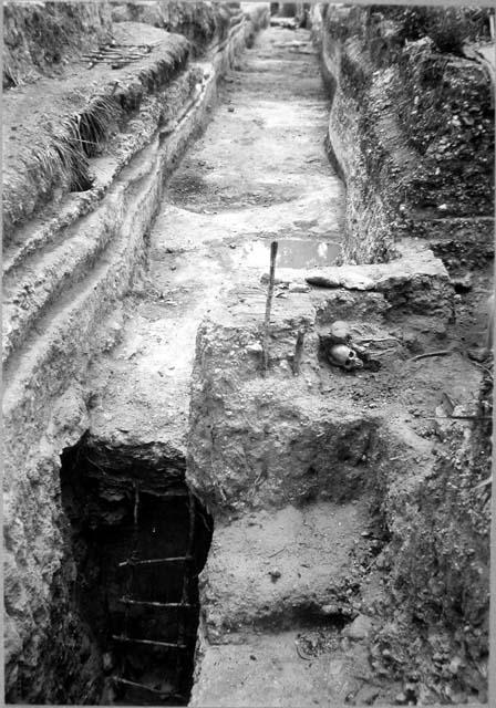 Looking East down Main trench East Group