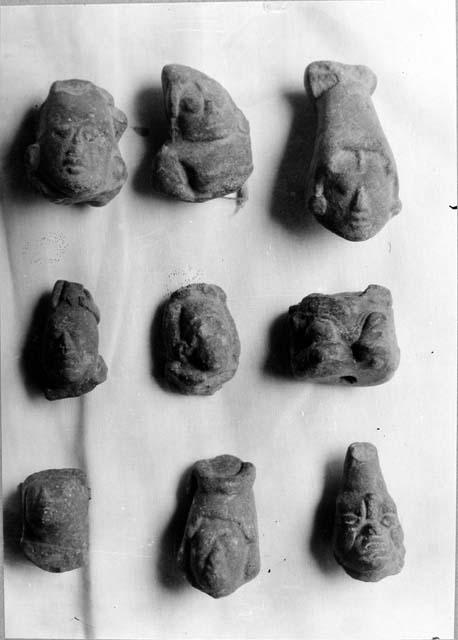 Nine heads bought in San Andres