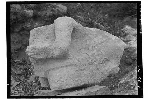 Str. 2B1 (Palace) / Stone fig. from S.E. corner, profile