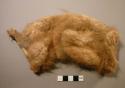 Bleached piece of beaver fur