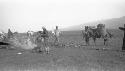 People and horses wearing packs in desert