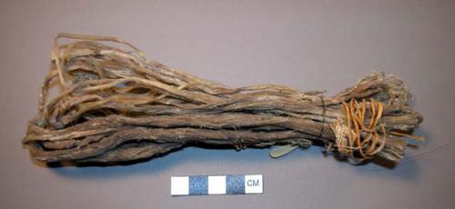 Bundle of raw sinew