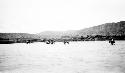 People crossing river with mules