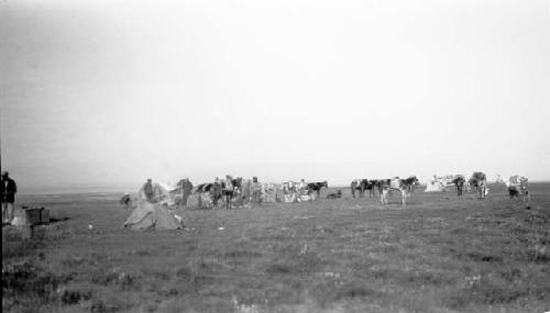 People and horses