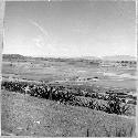 Distant view of Calmica, from SE.