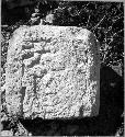 Shrine, Str. 41, fragment of Stela 3, reused as building  stone in shrine