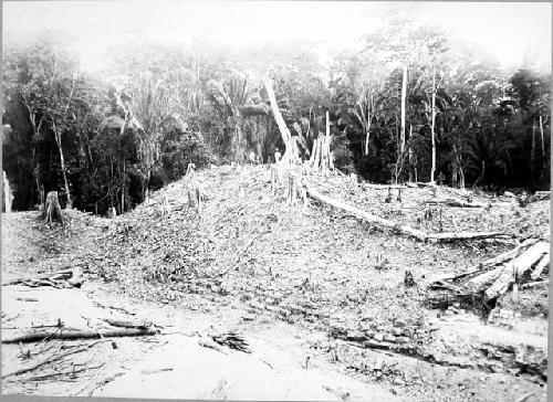 Structure 3, Main Pyramid, west side, temple plaza, after cleaning