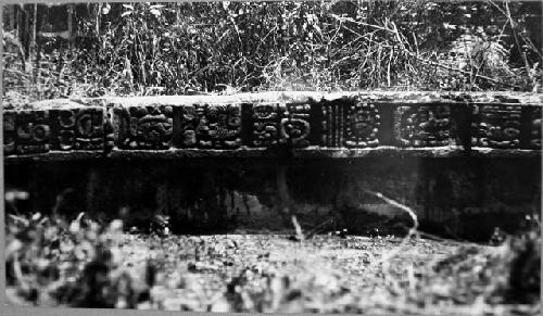 Structure 1, middle doorway, hieroglyphic step