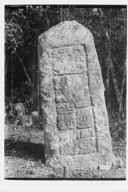 Stela 18 - back