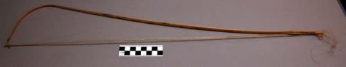 Violin bow of palm wood and fibre string (goes with 39-17-70/1423)