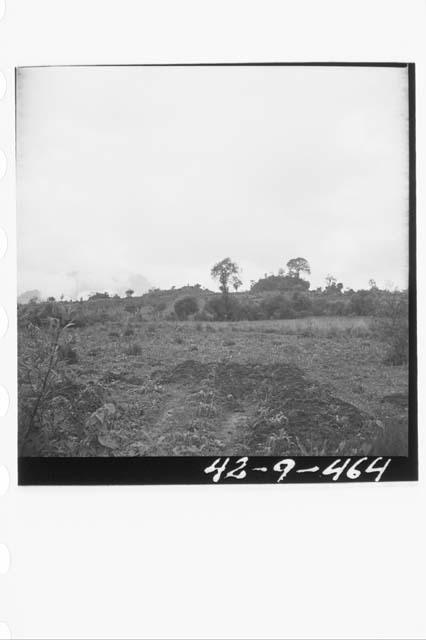 Ruins from round-looking S. at Km 241 on Pan-American highway