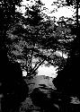 Path leading through trees to body of water