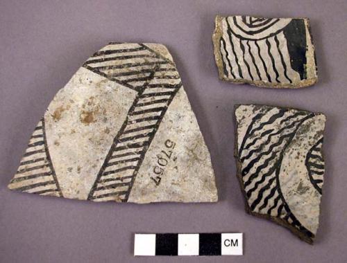 Sherds - Mesa Verde black and white