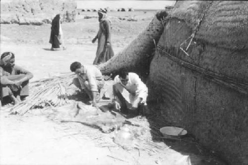 Marsh Arab men drying skin