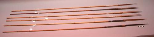 Broad blade bamboo arrows for pig killing