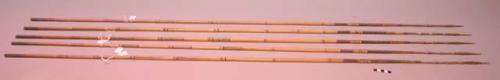 Fighting arrows - bamboo shafts; palm wood points with carved barbs; +