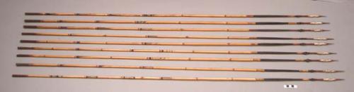 Fighting arrows - bamboo shafts; palm wood points decoratively carved;+