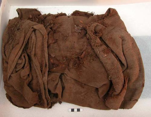 Organic, woven fabric from a mummy