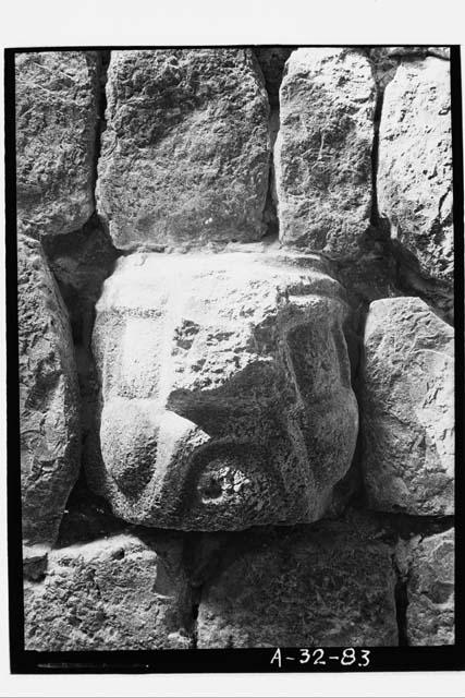 Stone head in wall of room in Str. XI