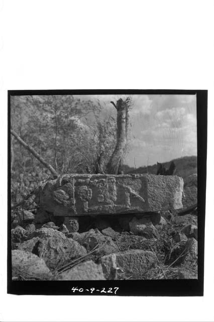 Sculp. lintel, face, in hilltop milpa by glyphic stones.
