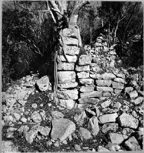 SE corner of high platform of Castillo