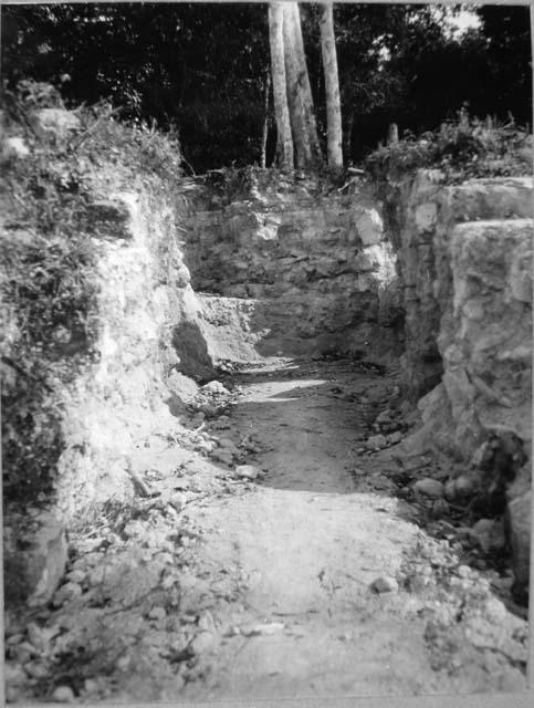 Main trench into South side Mound VIII looking north, East group