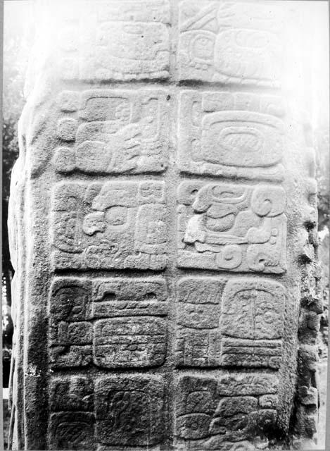 Stela C, right side glyphs