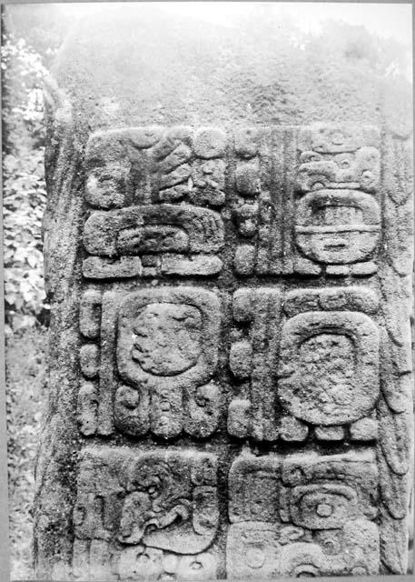 Stela A, west side glyph panel