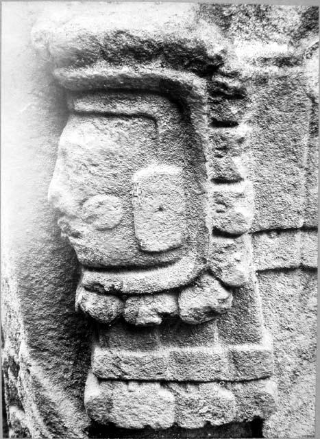 Stela E, south side, knee ornament