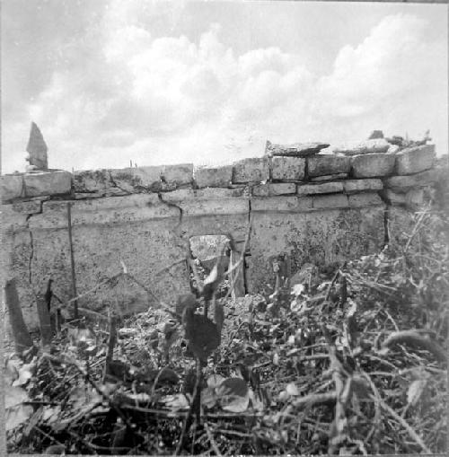 Face or East side of temple of Janan