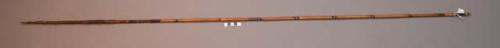 Fighting arrow - bamboo shaft; palm wood point with barbs bound on