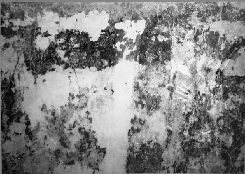 Structure 1. Room 1 - south wall. Glyphs are between middle and east figures.