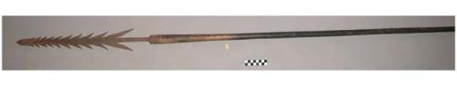 Dark wood spear with metal toothed spearhead, opposite end pointed. +