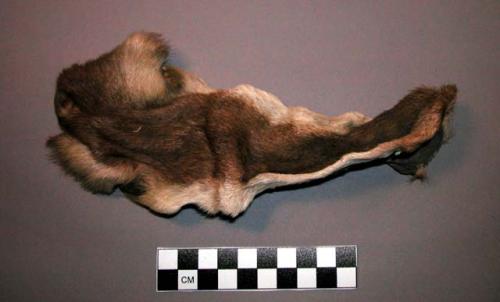 Buckskin fragment