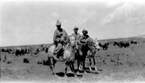 People riding ponies in the desert