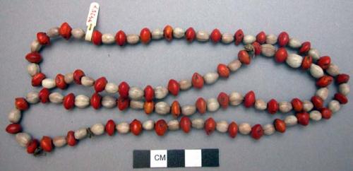Necklace of red and white seeds