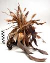 Dancer's head piece - feathers