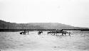 People crossing river with mules