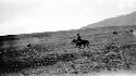 Person riding horse in desert