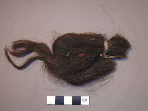 Lock of human hair tied with yucca