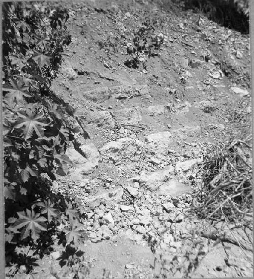 Pyramidal mound being destroyed for building material.