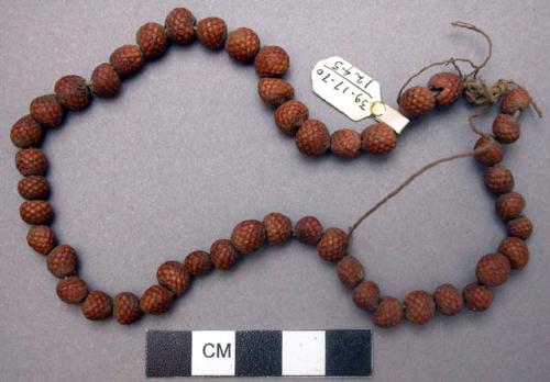 Necklace of sago seeds - worn by men and women