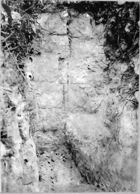 South end of Room I, House Mound V