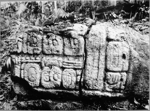 Stela 7 - left side, I.S.