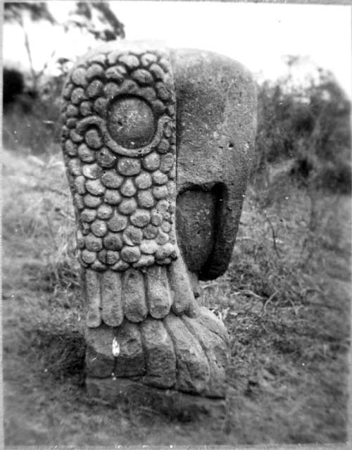 Serpent head, La Union, Right side.