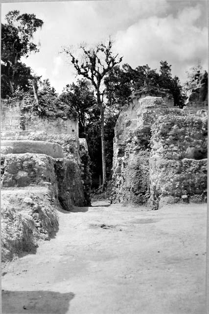 A-V: looking South from center of trench down main N-S trench