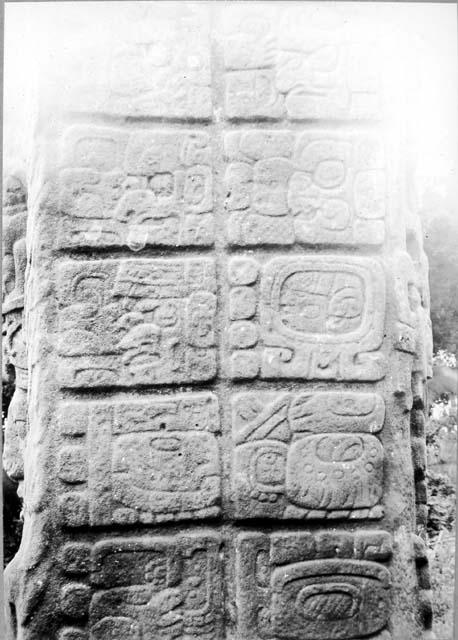 Stela C, right side glyphs
